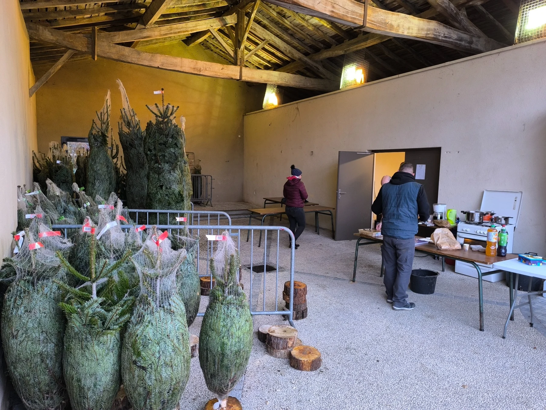 Vente de sapins 2025