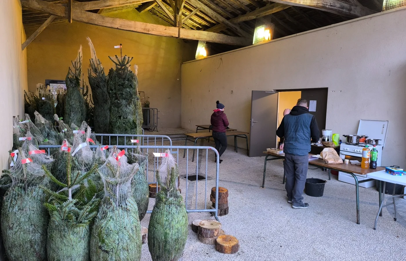 Vente de sapins 2025